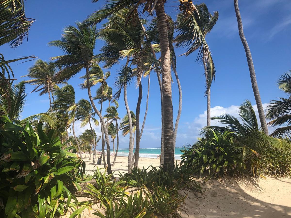 Art Villa Dominicana Punta Cana Exterior foto